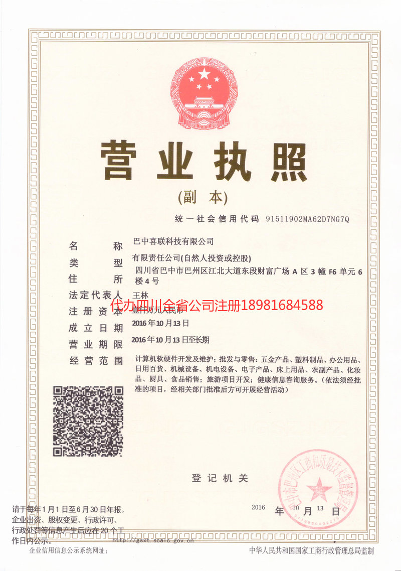 蓬安蓬安喜联科技有限公司