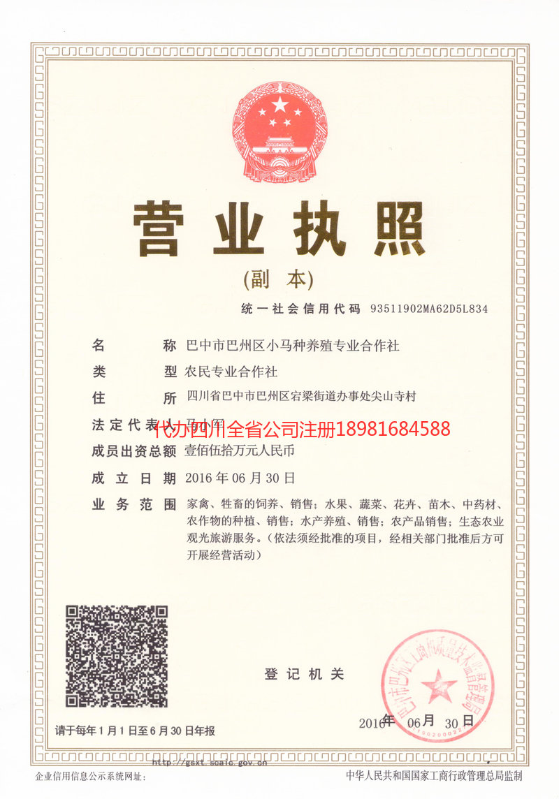 蓬安蓬安小马种养殖专业合作社